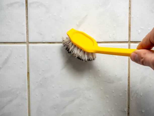 Best Office Mold Removal Services  in Pemberton Heights, NJ