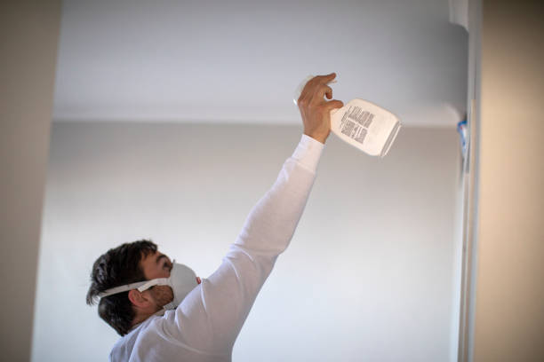 Best Office Mold Removal Services  in Pemberton Heights, NJ