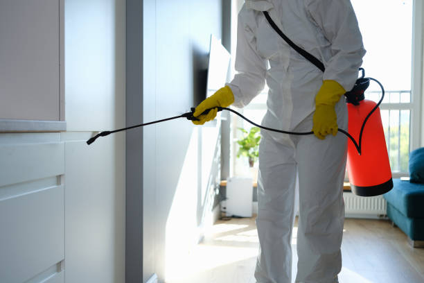 Best Mold Damage Repair  in Pemberton Heights, NJ