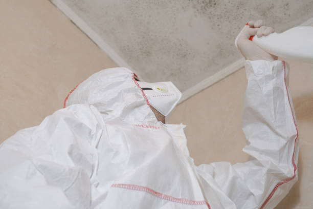 Best Attic Mold Removal  in Pemberton Heights, NJ